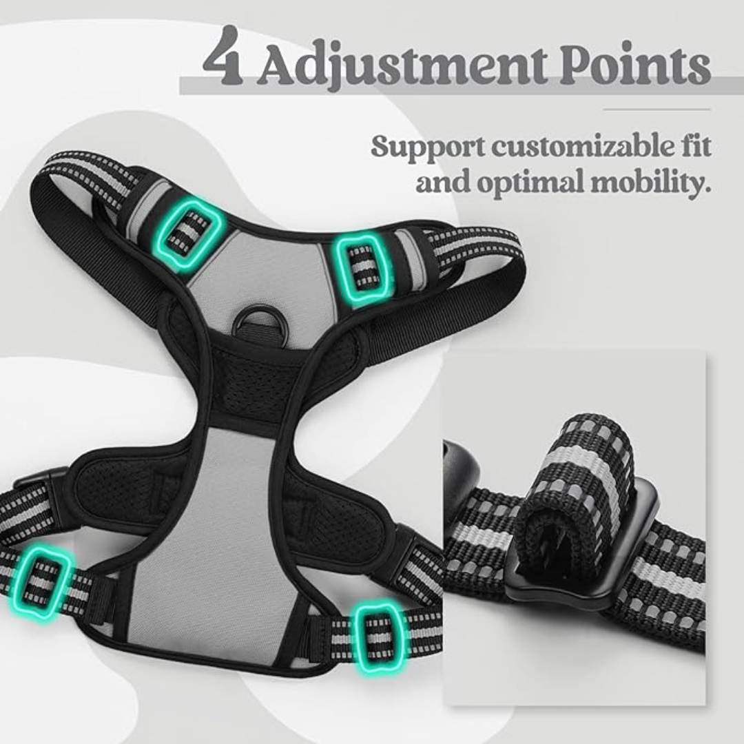 Adjustable Dog Collars Harness Leash