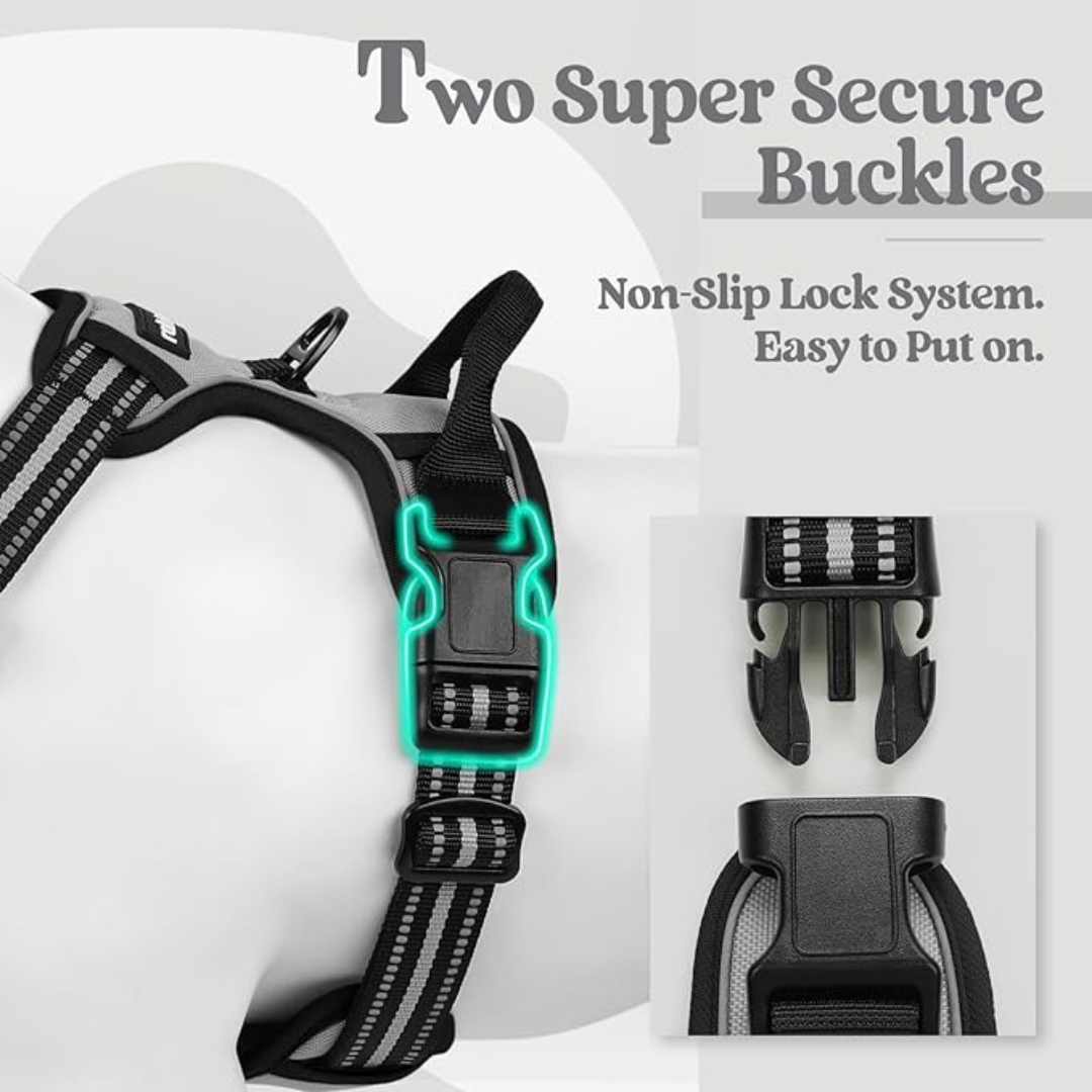 Adjustable Dog Collars Harness Leash