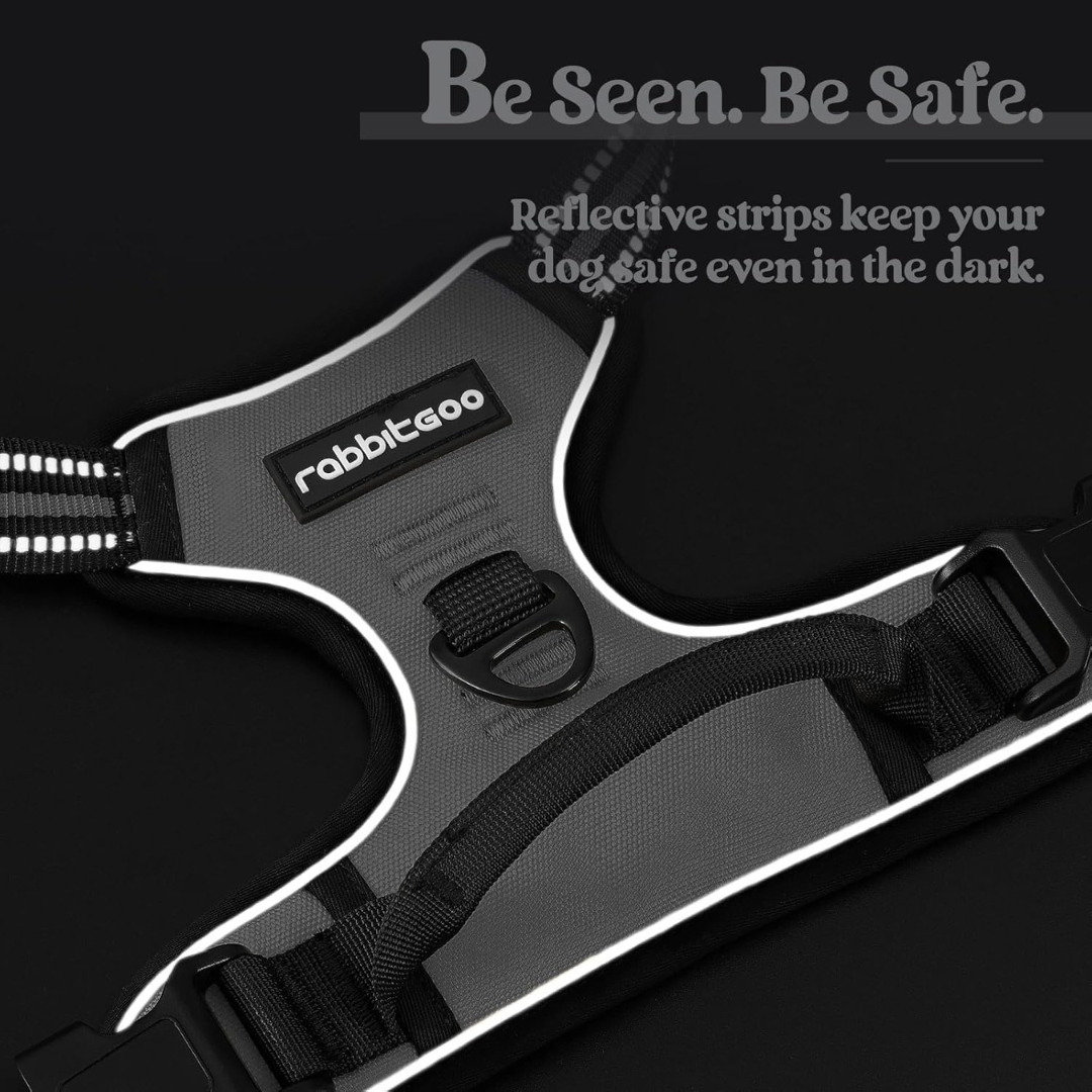 Adjustable Dog Collars Harness Leash