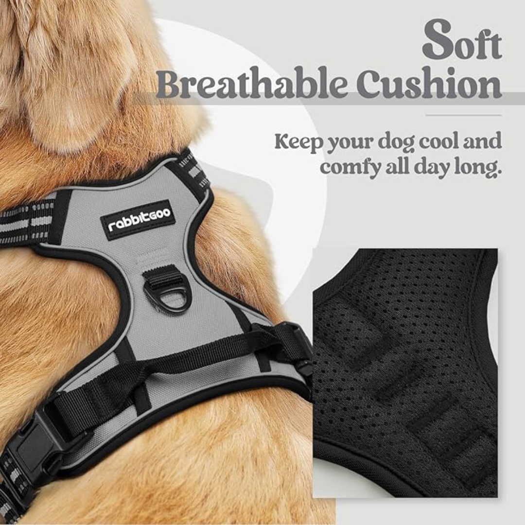 Adjustable Dog Collars Harness Leash