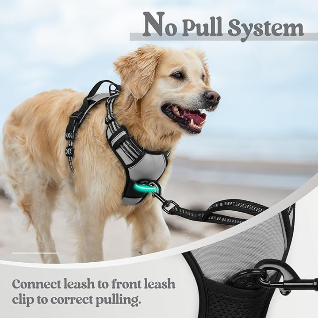 Adjustable Dog Collars Harness Leash
