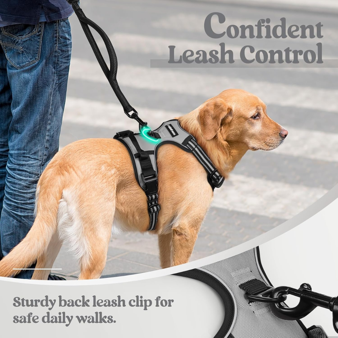 Adjustable Dog Collars Harness Leash