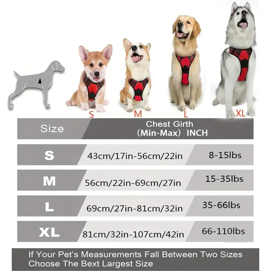 Adjustable Dog Collars Harness Leash
