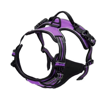 Adjustable Dog Collars Harness Leash